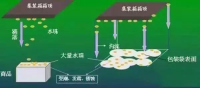 集装箱里进水,谁的错?如何预防应对?